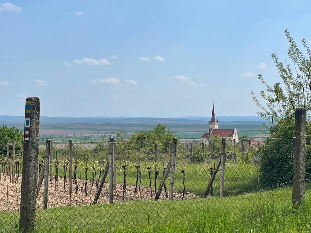 Apartmán U Březinů Znojmo Exterior foto