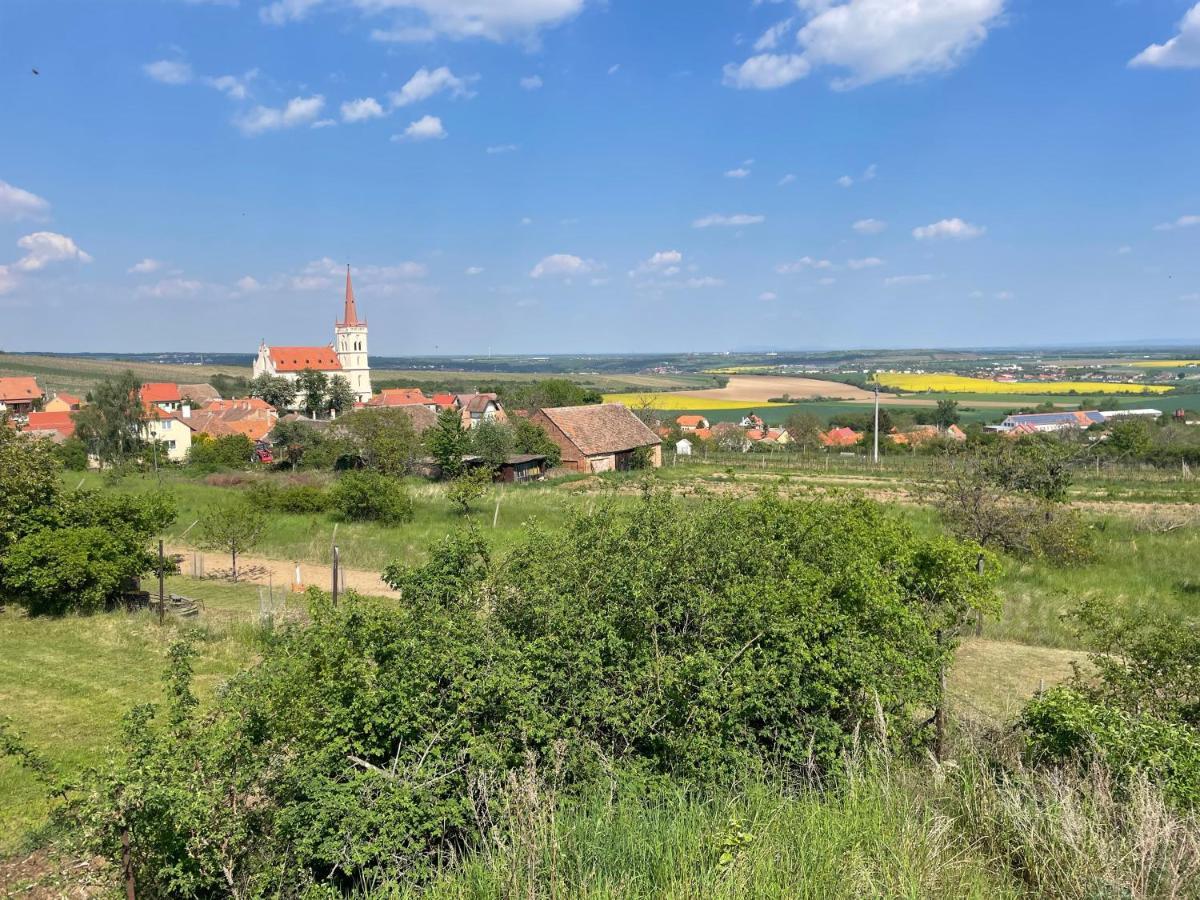 Apartmán U Březinů Znojmo Exterior foto